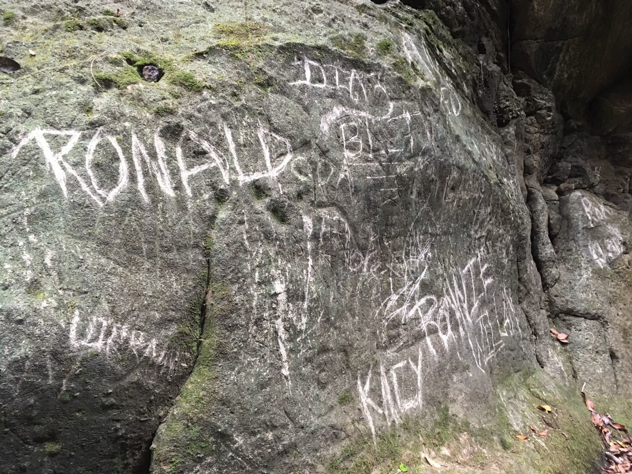 Carvings